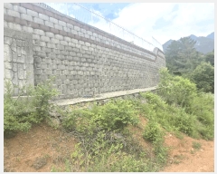  2025Ÿ��1495 ��� ���ֱ� ������ �� 916-20 ��1��     ���ð��