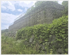  2025Ÿ��1495 ��� ���ֱ� ������ �� 916-20 ��1��     ���ð��