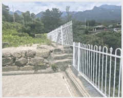  2025Ÿ��1495 ��� ���ֱ� ������ �� 916-20 ��1��     ���ð��