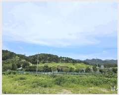  2025Ÿ��1556 ��� ���ֱ� ������ ���긮 806      ����(��)���