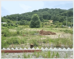  2025Ÿ��1556 ��� ���ֱ� ������ ���긮 806      ����(��)���