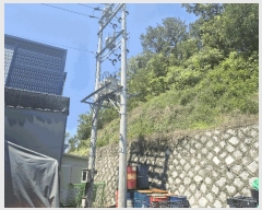  2025Ÿ��1730 ��� ���ֱ� ������ �� 239-6      ������