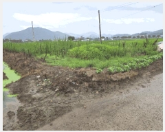  2025Ÿ��1860  ����