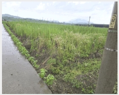  2025Ÿ��1860  ����