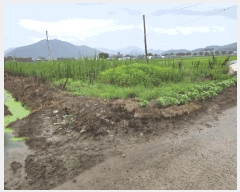  2025Ÿ��1860  ����