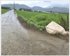  2025Ÿ��1860  ����