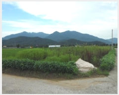  2025Ÿ��1860  ����