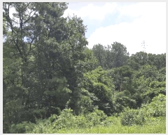  2025Ÿ��2030 ��� ���ֱ� ��ϸ� ������ ��80      ����(�Ӿ�)���