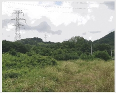  2025Ÿ��2030 ��� ���ֱ� ��ϸ� ������ ��80      ����(�Ӿ�)���