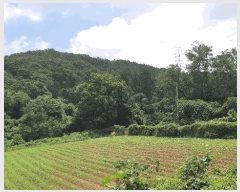  2025Ÿ��2030 ��� ���ֱ� ��ϸ� ������ ��80      ����(�Ӿ�)���