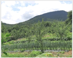  2025Ÿ��2030 ��� ���ֱ� ��ϸ� ������ ��80      ����(�Ӿ�)���