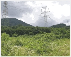  2025Ÿ��2030 ��� ���ֱ� ��ϸ� ������ ��80      ����(�Ӿ�)���