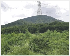  2025Ÿ��2030 ��� ���ֱ� ��ϸ� ������ ��80      ����(�Ӿ�)���