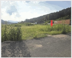  2025Ÿ��2429 ��� ���ֱ� ������ ���긮 806-4      ����(��)���