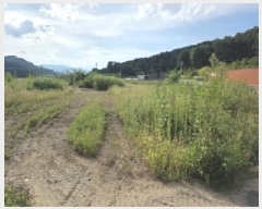  2025Ÿ��2429 ��� ���ֱ� ������ ���긮 806-4      ����(��)���