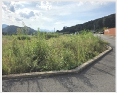  2025Ÿ��2429 ��� ���ֱ� ������ ���긮 806-4      ����(��)���