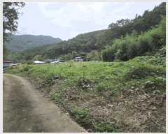  2025Ÿ��2948  �������