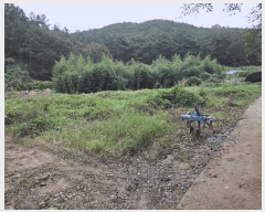  2025Ÿ��2948  �������