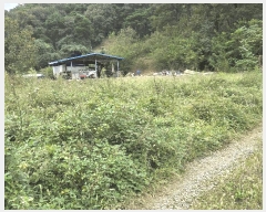  2025Ÿ��2948  �������