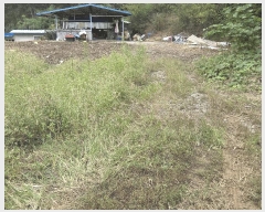  2025Ÿ��2948  �������