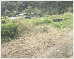  2025Ÿ��2948  �������