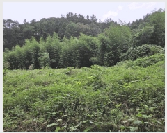  2025Ÿ��2948  �������