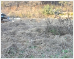  2025Ÿ��2948  �������