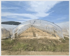  2025Ÿ��3057 ��� ���ֱ� ��ϸ� ������ 798-1      ����(��)���