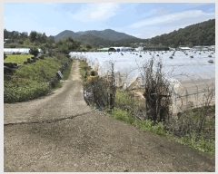  2025Ÿ��3057 ��� ���ֱ� ��ϸ� ������ 798-1      ����(��)���