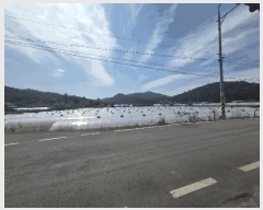  2025Ÿ��3057 ��� ���ֱ� ��ϸ� ������ 798-1      ����(��)���