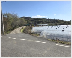  2025Ÿ��3057 ��� ���ֱ� ��ϸ� ������ 798-1      ����(��)���