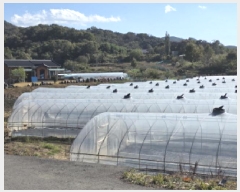  2025Ÿ��3057 ��� ���ֱ� ��ϸ� ������ 798-1      ����(��)���