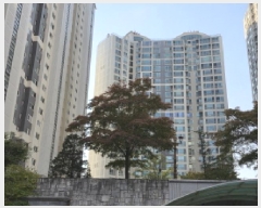  2025Ÿ��3231 �뱸 �޼��� ��굿 230-10 ���Ե�ĳ���׷��� 107�� 15��1503ȣ    ����Ʈ���