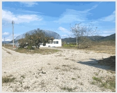  2025Ÿ��3293 ��� ���ɱ� ����� ȭ�ϸ� 806-6      ����(��)���