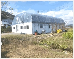  2025Ÿ��3293 ��� ���ɱ� ����� ȭ�ϸ� 806-6      ����(��)���