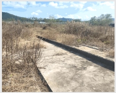  2025Ÿ��3293 ��� ���ɱ� ����� ȭ�ϸ� 806-6      ����(��)���