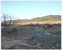  2025Ÿ��3293 ��� ���ɱ� ����� ȭ�ϸ� 806-6      ����(��)���