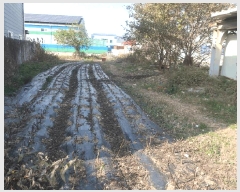  2025Ÿ��3521 �뱸 �޼��� ������ ������ 705      ����(��)���