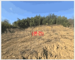  2025Ÿ��3668  �������