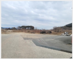  2025Ÿ30134  ֱ  и 977-4      ()