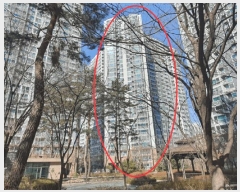  2025Ÿ��30912 �뱸 �޼��� ������ 120 ����Ǫ������ 108�� 2��204ȣ    ����Ʈ���