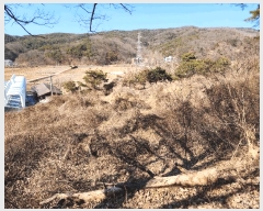  2025Ÿ��30937 ��� ���ɱ� ����� �Ű��� 800      ����(��1)���