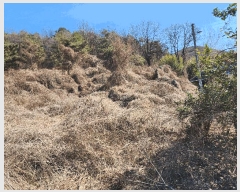  2025Ÿ��30937 ��� ���ɱ� ����� �Ű��� 800      ����(��1)���