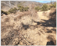  2025Ÿ��30937 ��� ���ɱ� ����� �Ű��� 800      ����(��1)���