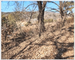  2025Ÿ��30937 ��� ���ɱ� ����� �Ű��� 800      ����(��1)���