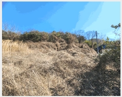  2025Ÿ��30937 ��� ���ɱ� ����� �Ű��� 800      ����(��1)���