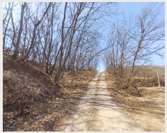  2025Ÿ��30973 ��� ���ֱ� ��ϸ� ��긮 ��7-1      ����(�Ӿ�)���