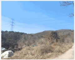  2025Ÿ��30973 ��� ���ֱ� ��ϸ� ��긮 ��7-1      ����(�Ӿ�)���