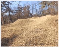  2025Ÿ��30973 ��� ���ֱ� ��ϸ� ��긮 ��7-1      ����(�Ӿ�)���