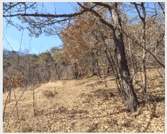  2025Ÿ��30973 ��� ���ֱ� ��ϸ� ��긮 ��7-1      ����(�Ӿ�)���